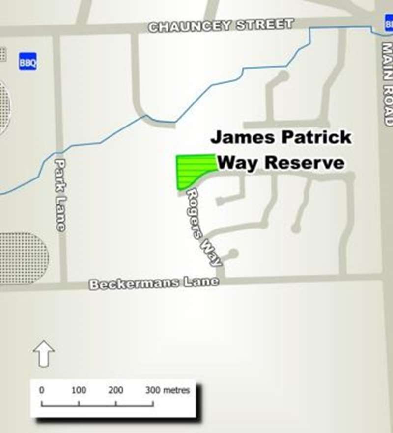 James Patrick Way Reserve Dog Off Leash Area (Lancefield)