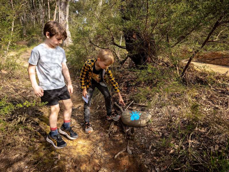 Jamieson Paw Prints Walk