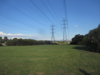 Janice Road Reserve Dog Off Leash Area (Glen Waverley)