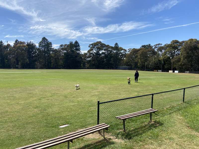 JD Clifford Reserve Dog Off Leash Area (Macedon)