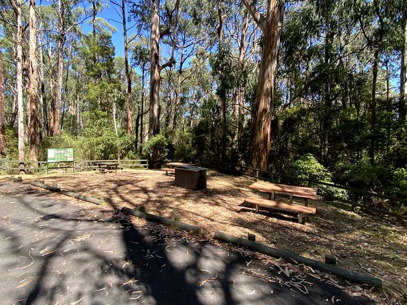 Jeeralang Junction - Fosters Gully Nature Trail