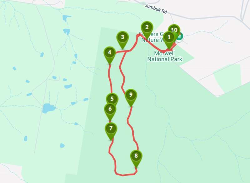 Jeeralang Junction - Fosters Gully Nature Trail