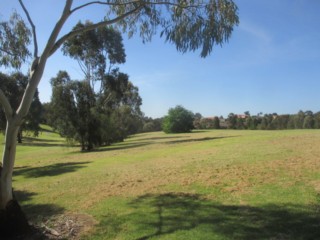 Jenkins Park Dog Off Leash Area (Templestowe)