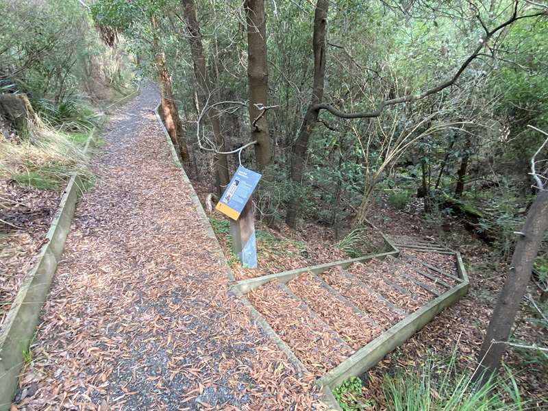 Jessie Traill Nature Reserve (Harkaway)