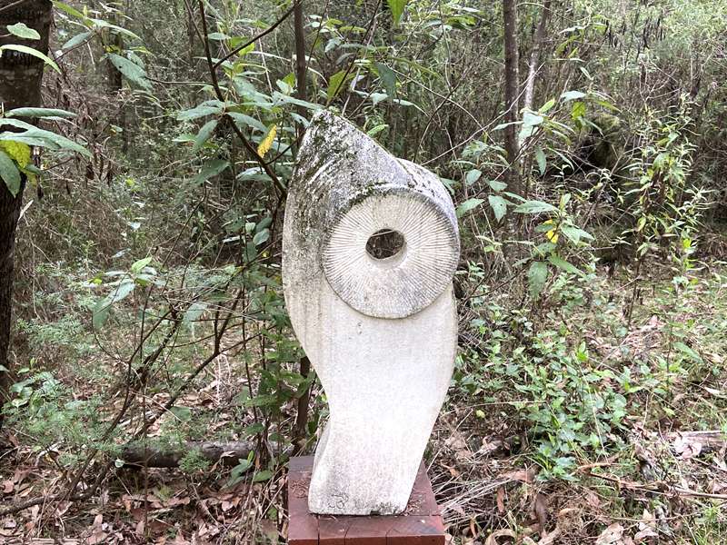 Jindivick - Nangara Reserve