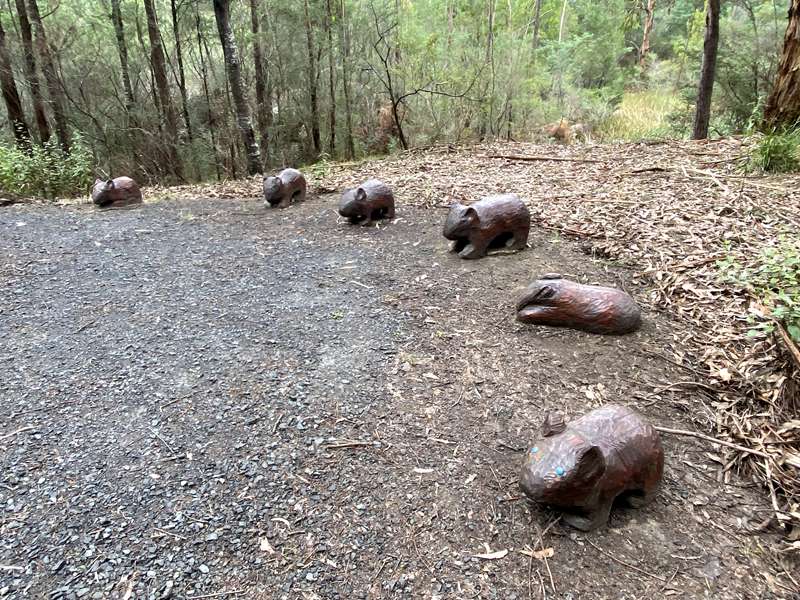 Jindivick - Nangara Reserve