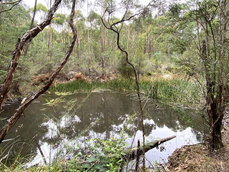 Jindivick - Nangara Reserve