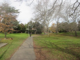 John August Reserve Dog Off Leash Area (Balwyn)