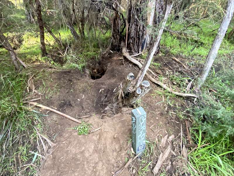 Jumping Creek Nature Walk (Warrandyte North)