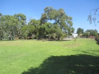 Kananook Reserve Dog Off Leash Area (Seaford)