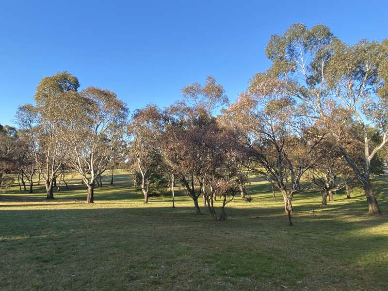 Keilor Park Recreation Reserve Dog Off Leash Area (Keilor Park)