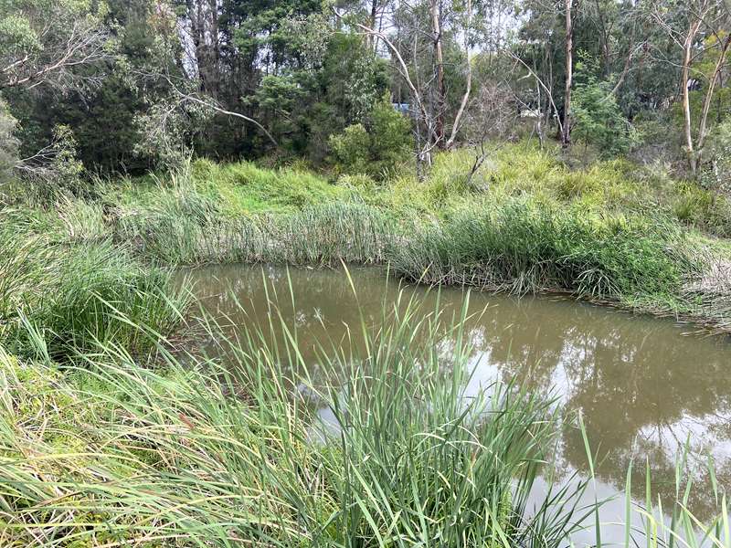 Kennedy Creek Walk (Pakenham)