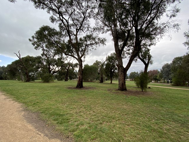 Kent Park Dog Off Leash Area (Ferntree Gully)