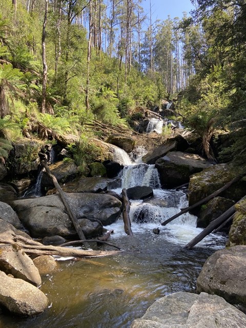 Marysville - Keppel Falls