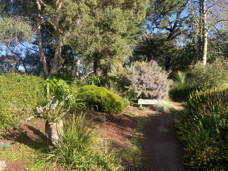 Kevin Hoffman Walk (Lara)