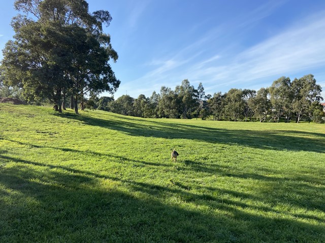 Killeen Street Reserve Dog Off Leash Area (Sunshine West)