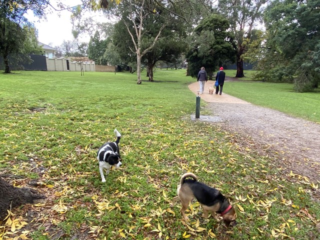 King Street Dog Off Leash Area (Balwyn)