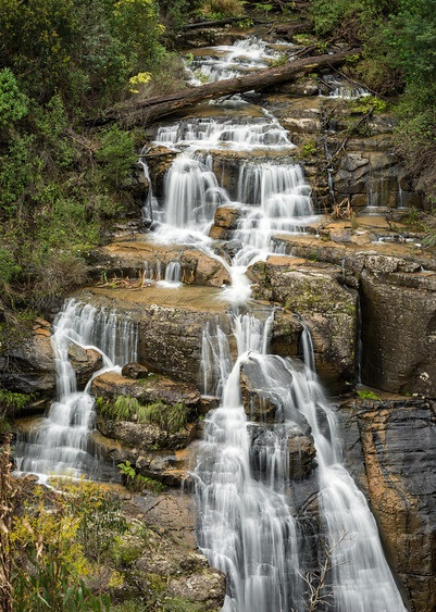 Kinglake National Park