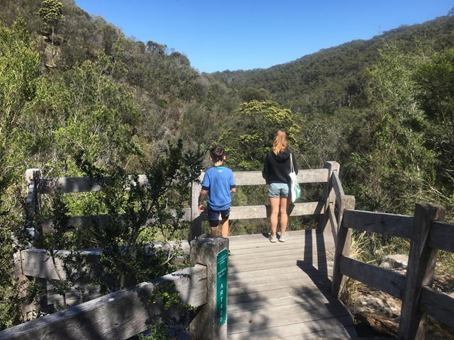 Kings Falls Circuit Walk (Main Ridge)