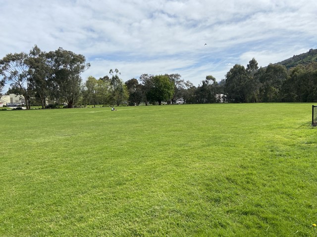 Kings Park Dog Off Leash Area (Upper Ferntree Gully)