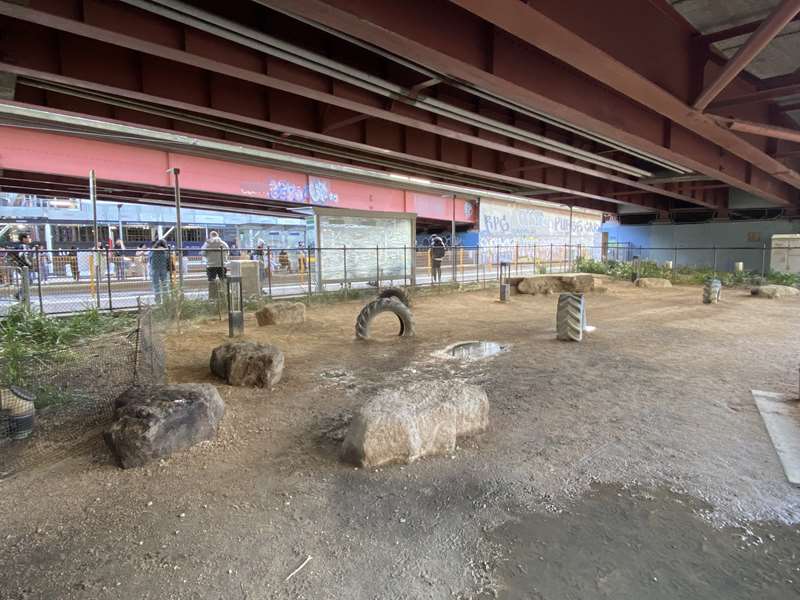 Kings Way Fenced Dog Park (Southbank)