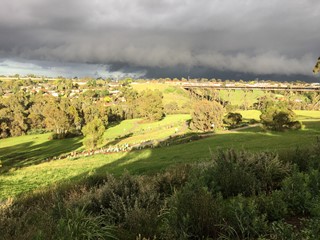 Kingsford Smith Ulm Reserve Dog Off Leash Area (Glenroy)