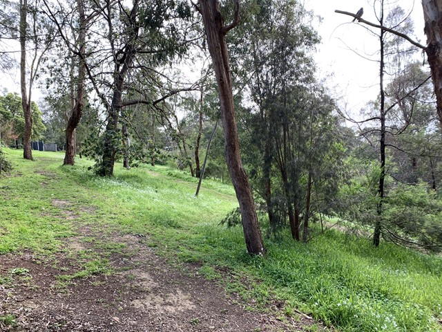 Kirwana Reserve Dog Off Leash Area (Montmorency)