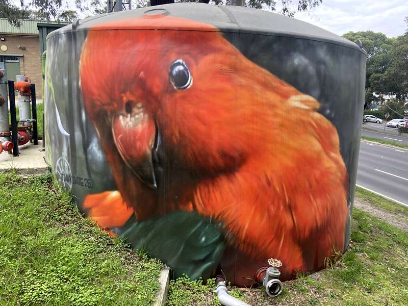 Knox Council Public and Street Art