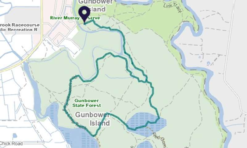 Koondrook Redgum Forest Walk Map