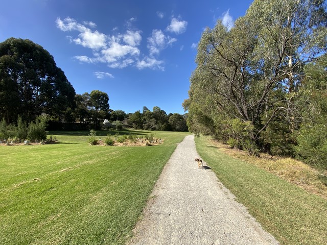 Koonung Creek Linear Park Dog Off Leash Area (Doncaster)