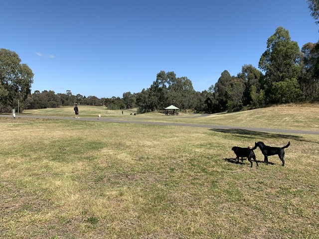 Koonung Creek Reserve Dog Off Leash Area (Balwyn North)