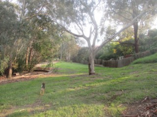 Koonung Creek Reserve Dog Off Leash Area (Mont Albert North)