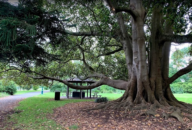 Koroit Botanical Gardens