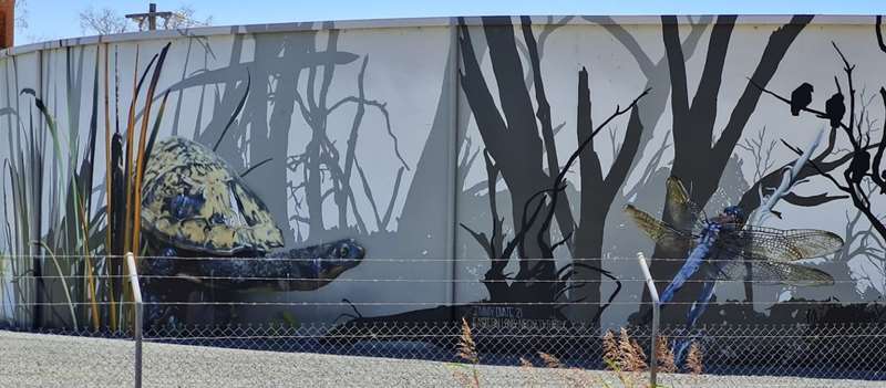 Kyabram Water Tank Art