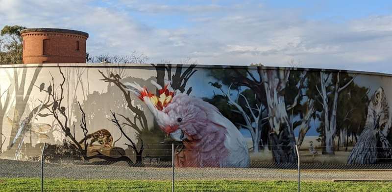 Kyabram Water Tank Art