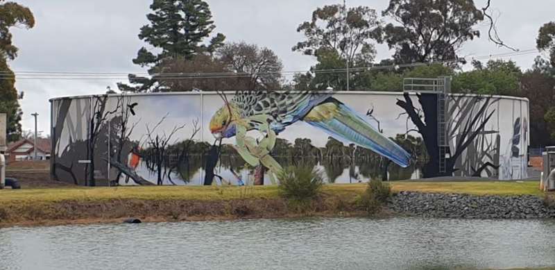 Kyabram Water Tank Art