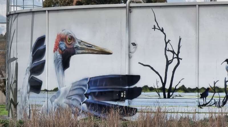 Kyabram Water Tank Art