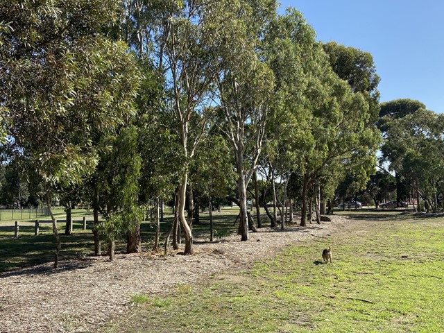 L.E. Cotchin Reserve Dog Off Leash Area (Reservoir)