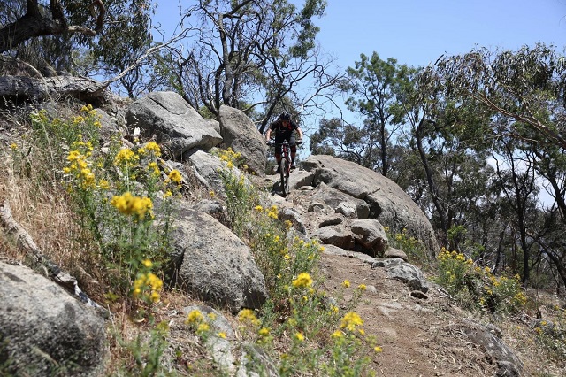 La Larr Ba Gauwa Mountain Bike Park