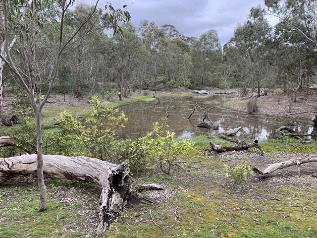 La Trobe Wildlife Sanctuary (Bundoora)