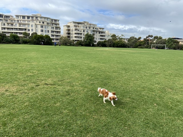 Lagoon Reserve Dog Off Leash Area (Port Melbourne)