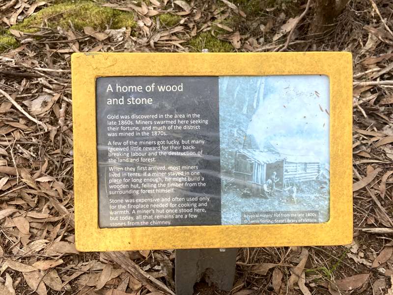 Lake Eildon National Park Candlebark Nature Walk