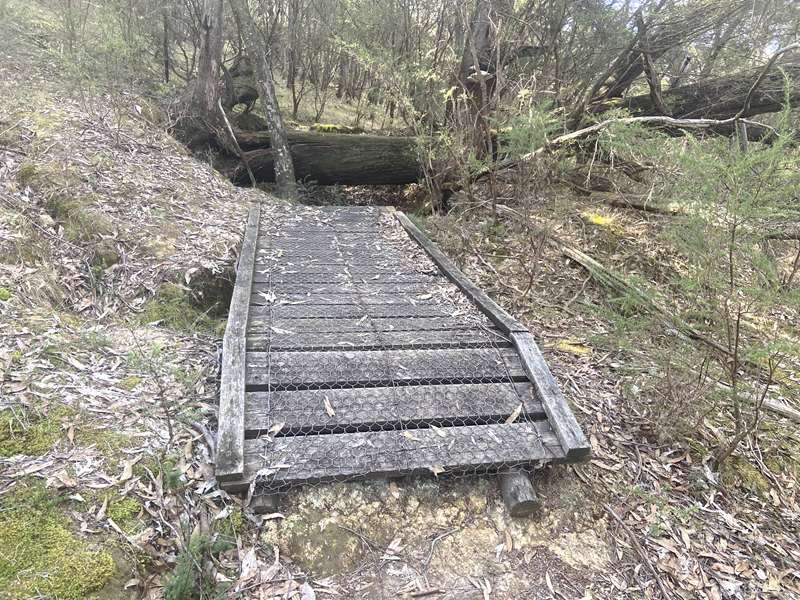 Lake Eildon National Park Candlebark Nature Walk