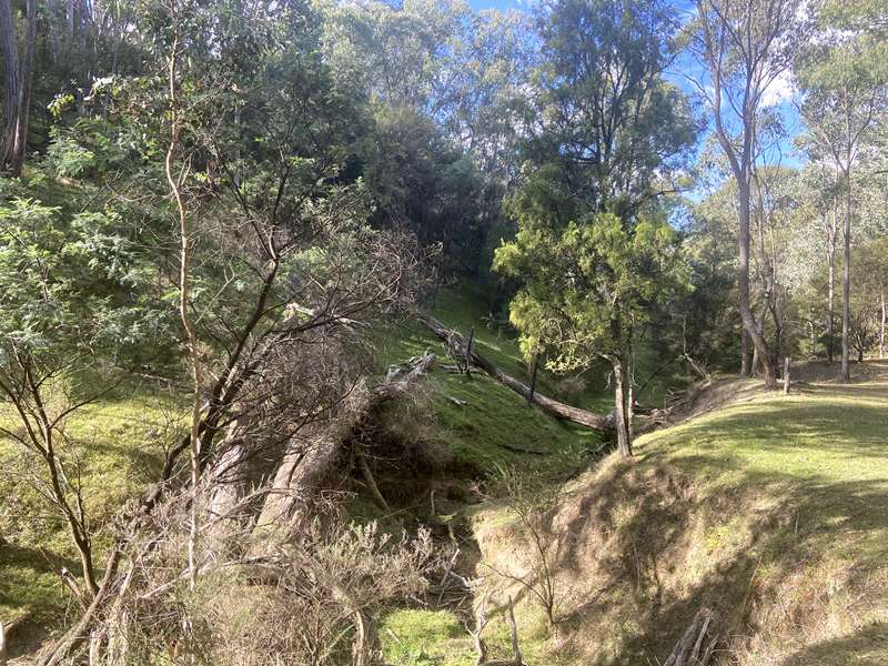 Lake Eildon National Park Candlebark Nature Walk
