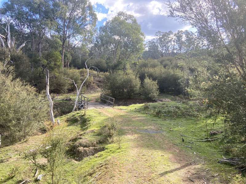Lake Eildon National Park Perfect Cure Creek Nature Walk
