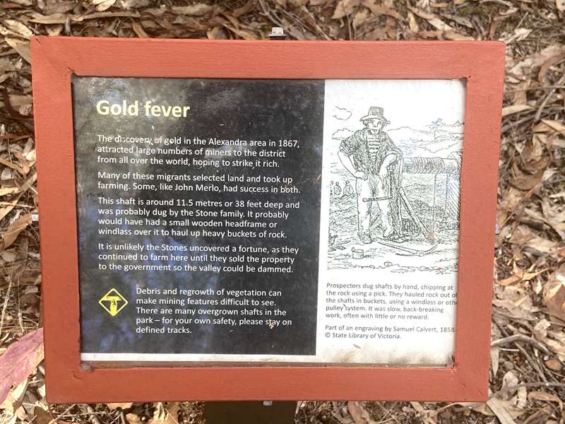 Lake Eildon National Park Perfect Cure Creek Nature Walk