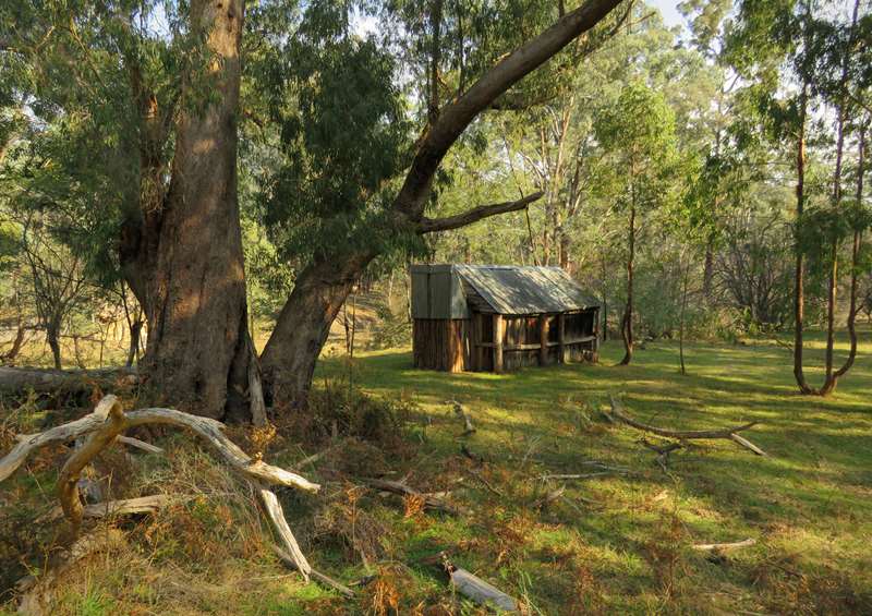 Lake Eildon National Park Stones Outstation & Wallaby Bay Walk