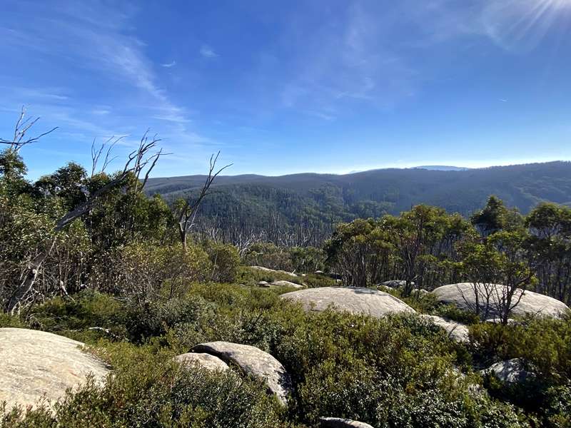 Lake Mountain Summit Loop Walk