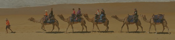 Lakes Entrance Camel Rides