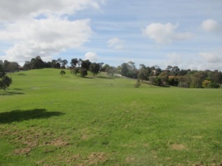 Landscape Drive Reserve Dog Off Leash Area (Doncaster East)